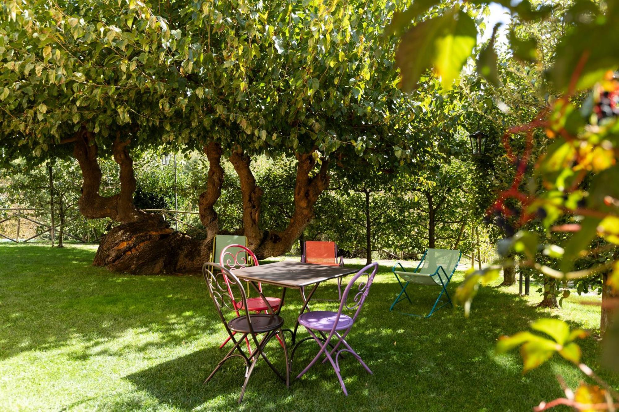 Agriturismo I Gelsi Di Santa Cristina Gubbio Exterior photo